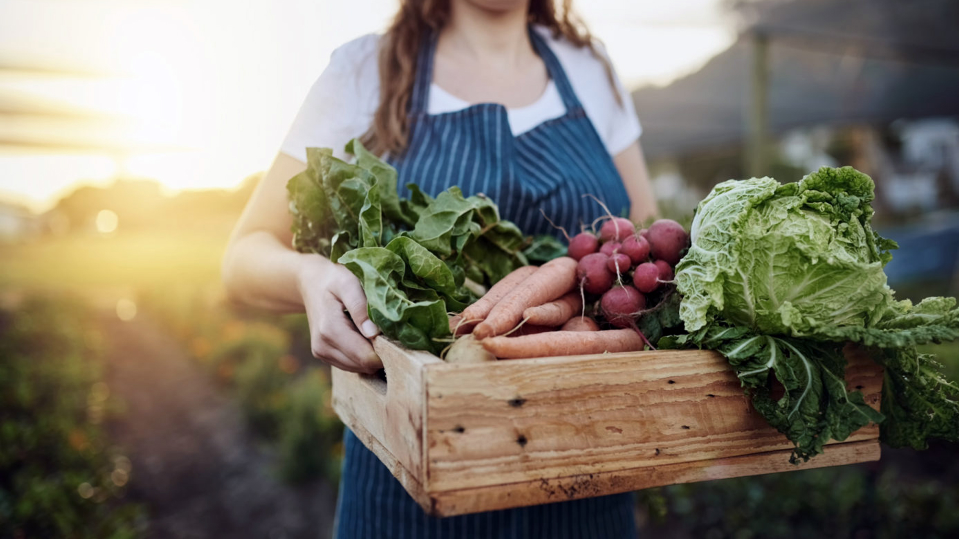 کشاورزی پاک، محصولی سالم و بدون باقی‌مانده سموم