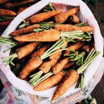 Nuclear knowledge in agriculture